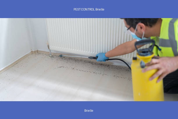 PEST CONTROL Brielle